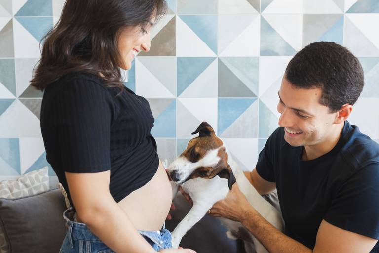 ensaio gestante com doguinho rj