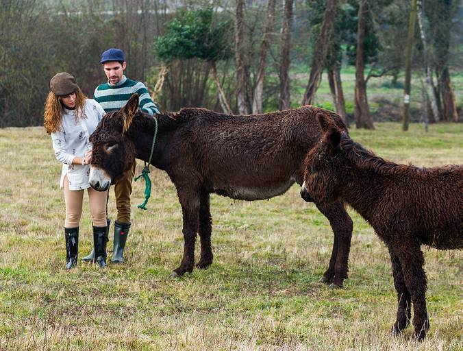 fotos-sessao-love-story-engagement-session-Luisa-Andre-fotografo-casamento-vila-verde-braga-portugal-foto-felicidade-campo-animais-noivos-piquenique-ponei-momentos-eternidade-passeio-bicicleta-trator-fotografias-2018