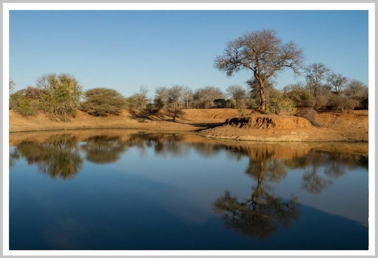 Kruger Park 1