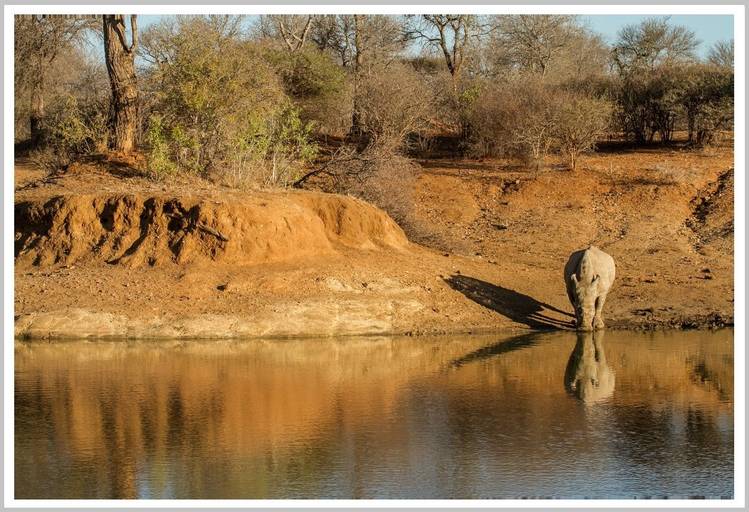 Kruger Park 2