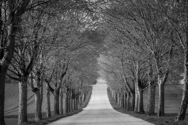 cristina syono
foto-arte-psicoterapia
caminho, foco e desfoque
qual o sentido da vida?