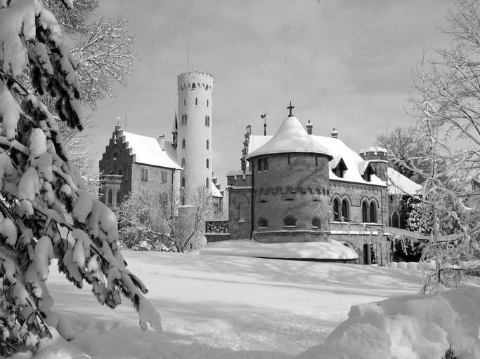cristina syono
foto-arte-psicoterapia
minha casa é um castelo frio
qual o sentido da vida?