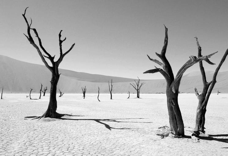 cristina syono
foto-arte-psicoterapia
aridez, secura e rachadura
qual o sentido da vida?