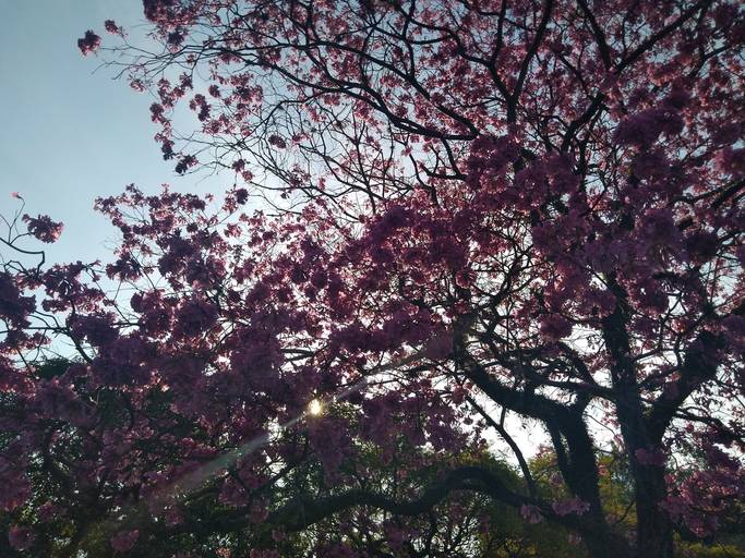 C.Y.S. 2022
cristina syono