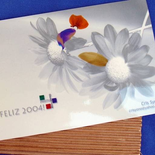 CARTÃO DE FINAL DE ANO
C.Y.S. 2003
cristina syono
foto-arte-psicoterapia