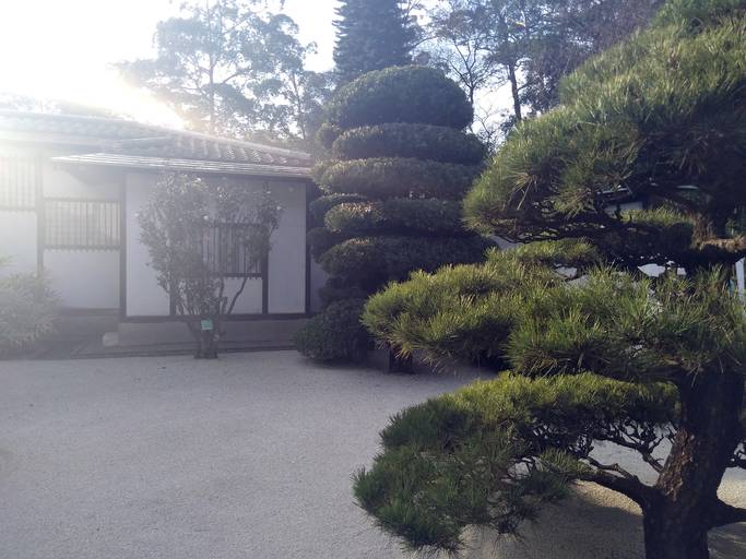 C.Y.S. 2022
cristina syono