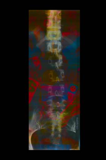 COLUNA 2
C.Y.S. 2008
cristina syono
foto-arte-psicoterapia