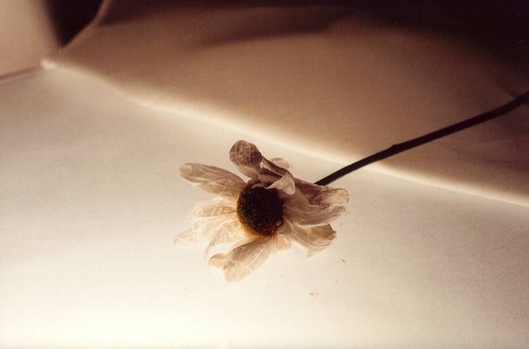 C.Y.S. 2001
cristina syono
foto-arte-psicoterapia
margarida doente