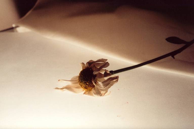 C.Y.S. 2001
C.Y.S. 2001
cristina syono
foto-arte-psicoterapia
margarida degenerada