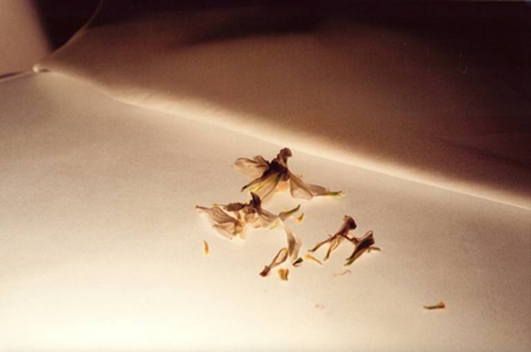 C.Y.S. 2001
cristina syono
foto-arte-psicoterapia
restos, o fim transcendente