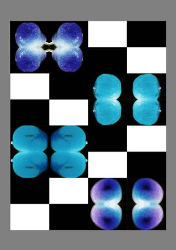 FRUTAS
C.Y.S. 1998
cristina syono
foto-arte-psicoterapia
exposição UAM