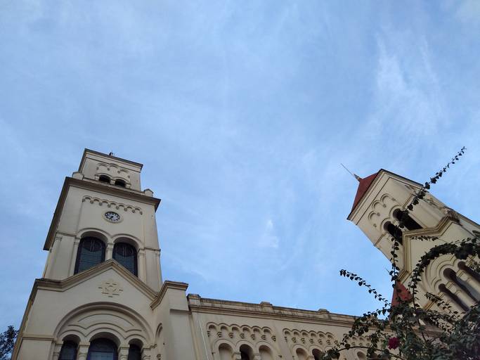 C.Y.S. 2021
cristina syono
foto-arte-psicoterapia
olhe para o alto
