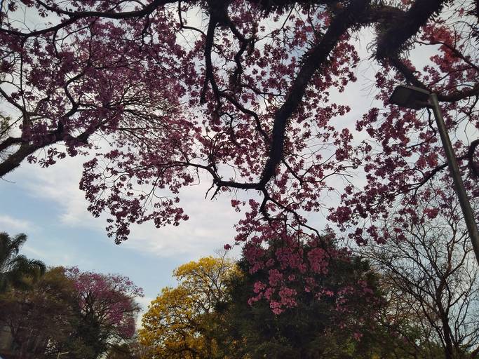 C.Y.S. 2022
cristina syono