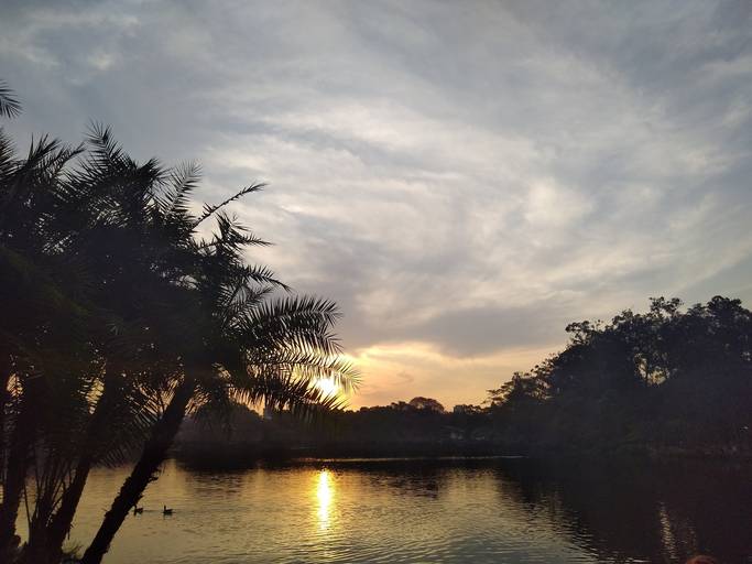 C.Y.S. 2022
cristina syono