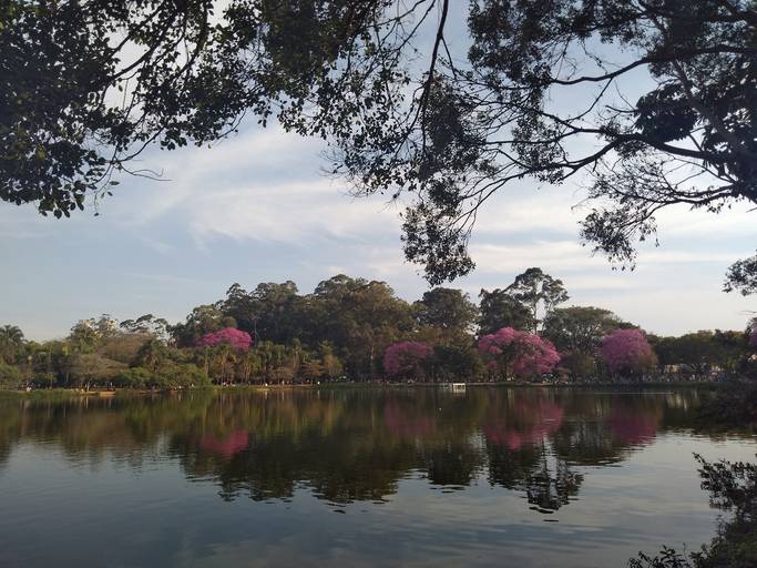 C.Y.S. 2022
cristina syono