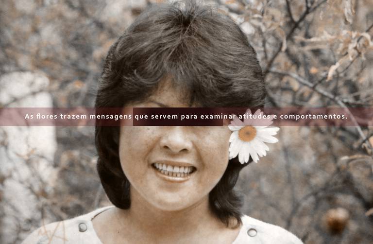 C.Y.S. ~1988
cristina syono
foto-arte-psicoterapia
então, a margarida apareceu