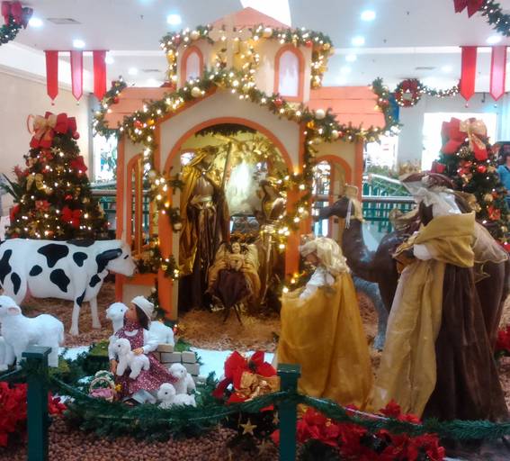 C.Y.S. 2016
cristina syono
foto-arte-psicoterapia