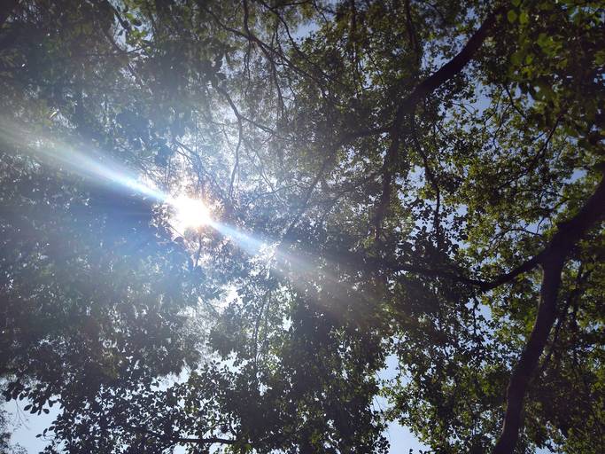 C.Y.S.
cristina syono