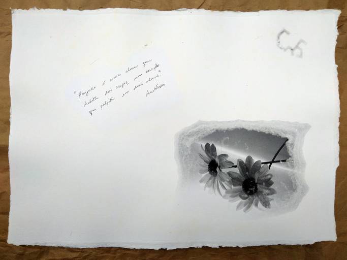 AMIZADE
C.Y.S. 2001
cristina syono
foto-arte-psicoterapia