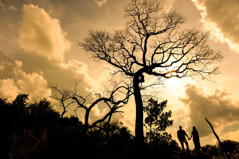 Fenix Arte Foto | Fotografia de Casal | Sessão de fotos | FAZENDA DE IPANEMA - IPERO #fenixartephoto #fenixartefoto #fotografodecasamento #prewedding #noivos