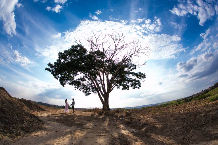 Fenix Arte Foto | Fotografia de Casal | Sessão de fotos  | HOLAMBRA#fenixartephoto #fenixartefoto #fotografodecasamento #prewedding #noivos