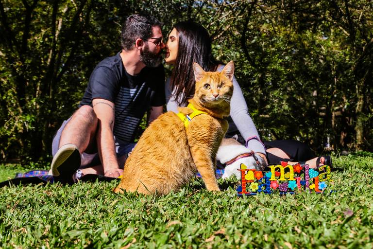 Fenix Arte Foto | Fotografia de Casal | Sessão de fotos #fenixartephoto #fenixartefoto #fotografodecasamento #prewedding #noivos