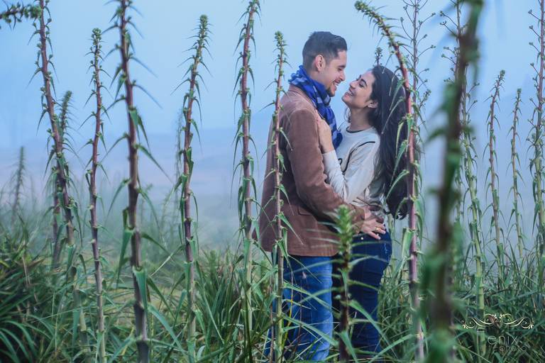 Fenix Arte Foto | Fotografia de Casal | Sessão de fotos #fenixartephoto #fenixartefoto #fotografodecasamento #prewedding #noivos