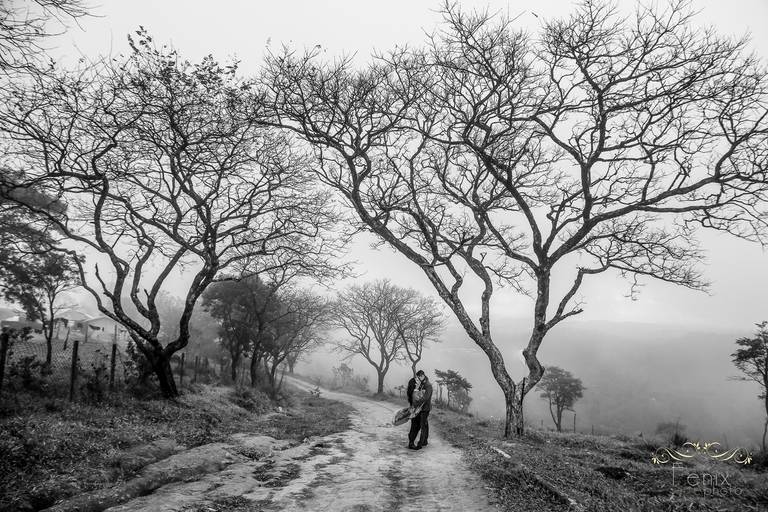 Fenix Arte Foto | Fotografia de Casal | Sessão de fotos #fenixartephoto #fenixartefoto #fotografodecasamento #prewedding #noivos