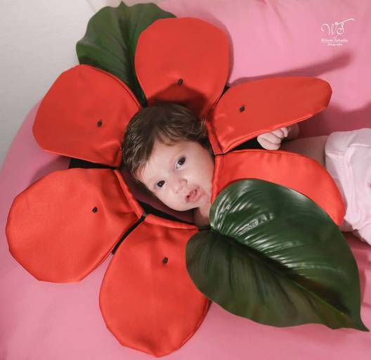 fotografia infantil em Salvador Bahia, flor Geovana