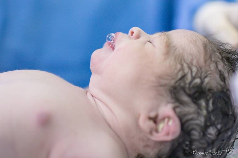 bebe Sofia Mae Sandra Obstetra Anelise Zollinguer