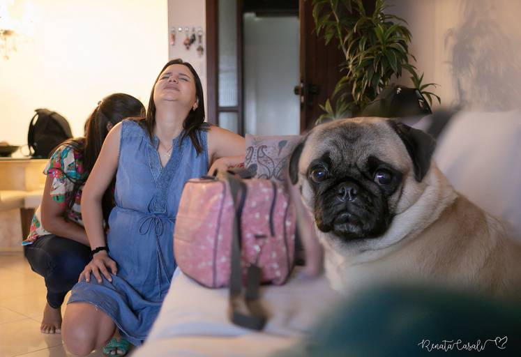 Bebe Eduardo Mae Adriana Obstetra Agnaldo