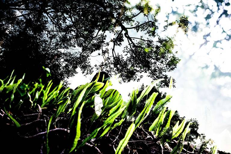 fotografo de casamento sp, casamento, fotografia de casamentos sp, fotografo de casamento, casamentos, casamento brasil, casamentos sp, casamentos na praia, destination wedding, mini wedding, fotografia de casamentos, fotografo top de casamento, weddings