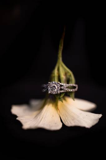 fotografo de casamento sp, casamento, fotografia de casamentos sp, fotografo de casamento, casamentos, casamento brasil, casamentos sp, casamentos na praia, destination wedding, mini wedding, fotografia de casamentos, fotografo top de casamento, weddings