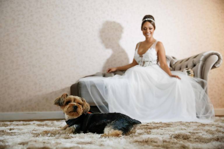 fotografo de casamento sp, casamento, fotografia de casamentos sp, fotografo de casamento, casamentos, casamento brasil, casamentos sp, casamentos na praia, destination wedding, mini wedding, fotografia de casamentos, fotografo top de casamento, weddings