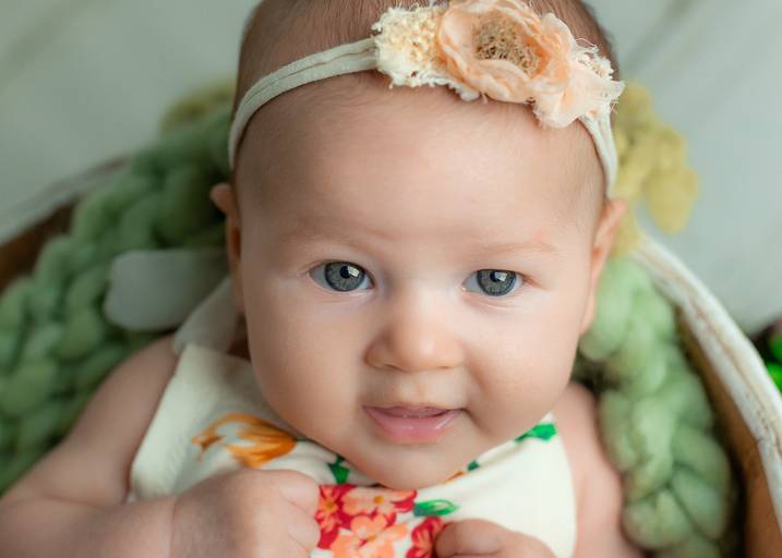 Acompanhamento fase à fase 