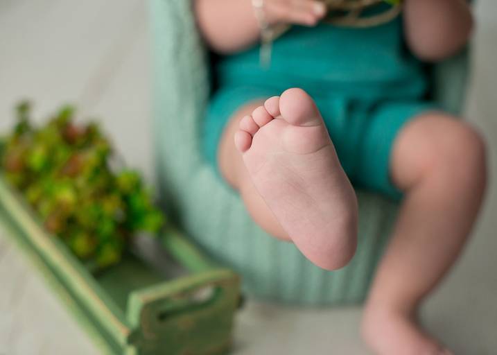 Acompanhamento fase à fase 