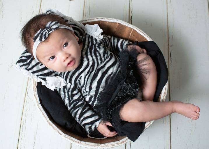 Acompanhamento fase à fase 