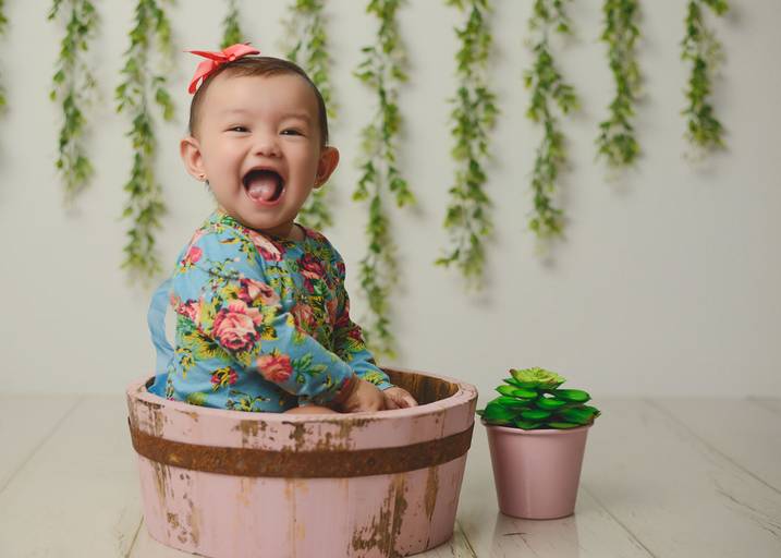 Acompanhamento fase à fase 