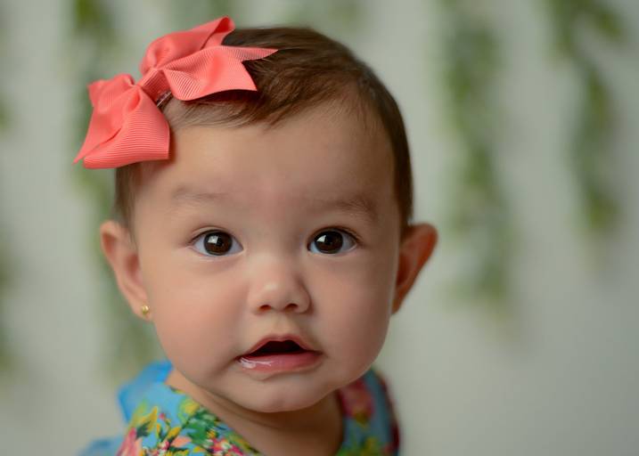 Acompanhamento fase à fase 