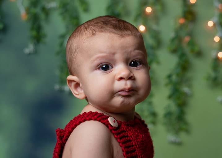 Acompanhamento fase à fase 