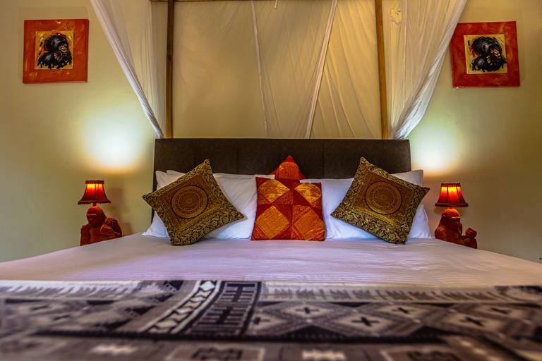 Gorilla Safari Lodge. Hotel de frente para Bwindi Impenetrable National Park em  Uganda. Suite. 