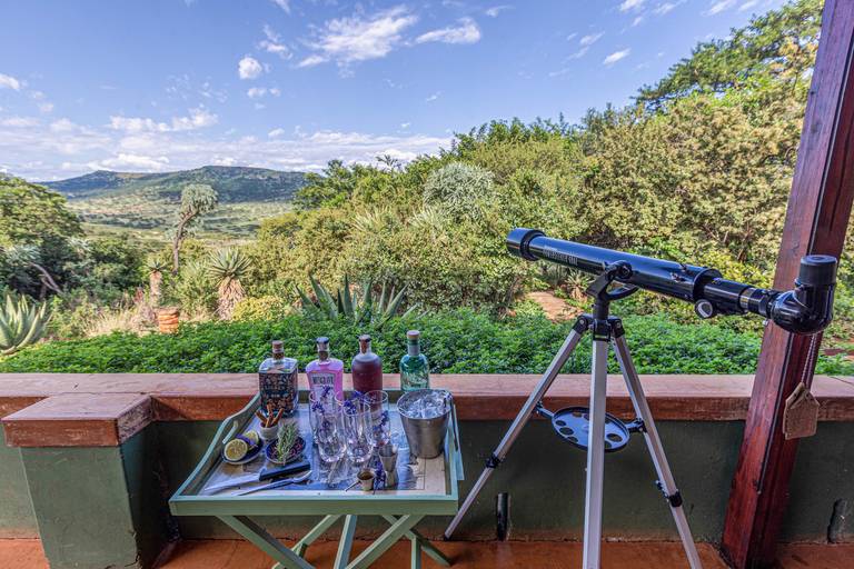 Gin time in South Africa 2021