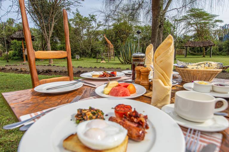 Café da Manha com Girafas no Quenia.   Mbweha Camp