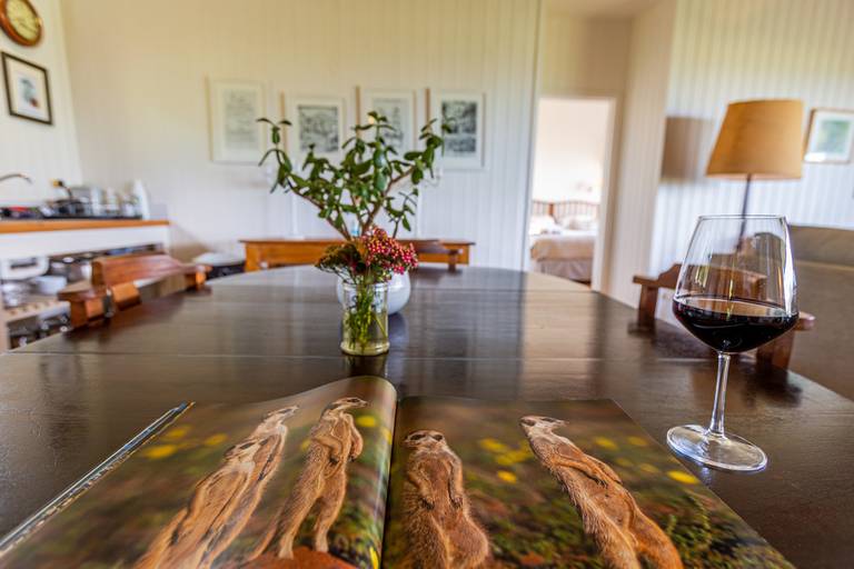 Livros e Vinho na África do sul. 