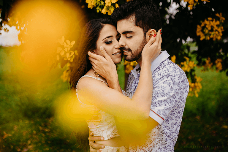 Alexandre Casttro Fotografo Patos de minas flores amarelas girassol