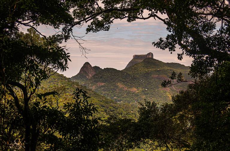 floresta da tijuca