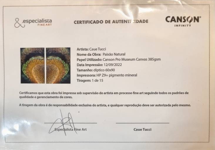 EXEMPLO DE CERTIFICADO