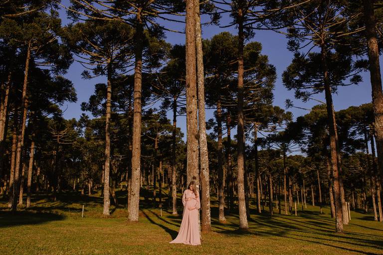 profissional deise deisy daisy evaristo praia casa rua urbano campo foto diferente foto de qualidade ensaio familia onde fazer ensaio de gestante campo alegre 