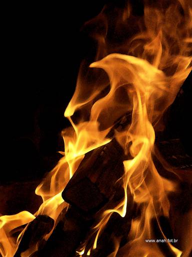 fogo