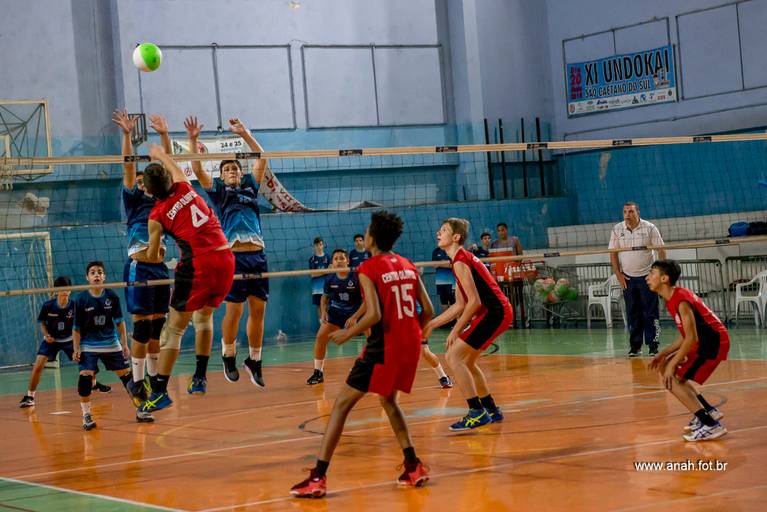 Voleibol